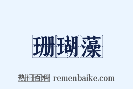 珊瑚藻是什么意思的图片